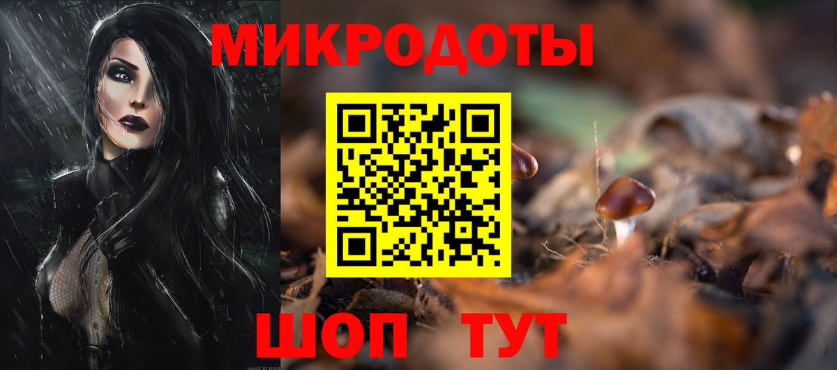 Галлюциногенные грибы Psilocybine cubensis Гагарин